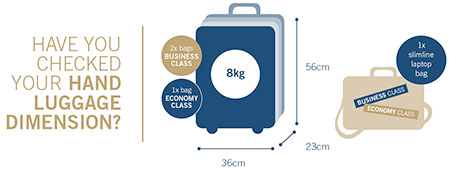 baggage-infographic