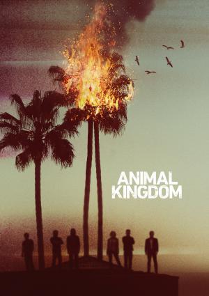 Animal_Kingdom