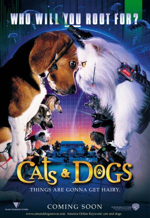 Cats_And_Dogs