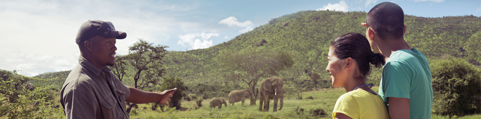 Wildlife guide teaching tourists