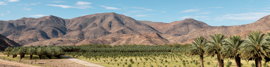 Northern Cape landscape image