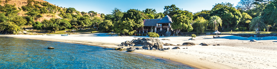 beach with house and trees