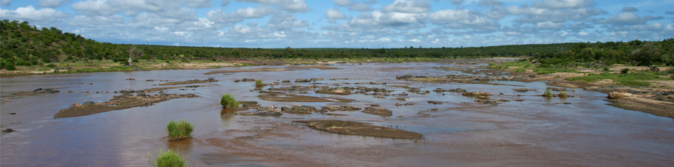 
		Wetlands at phalaborwa
		Feuchtgebiete in Phalaborwa
	